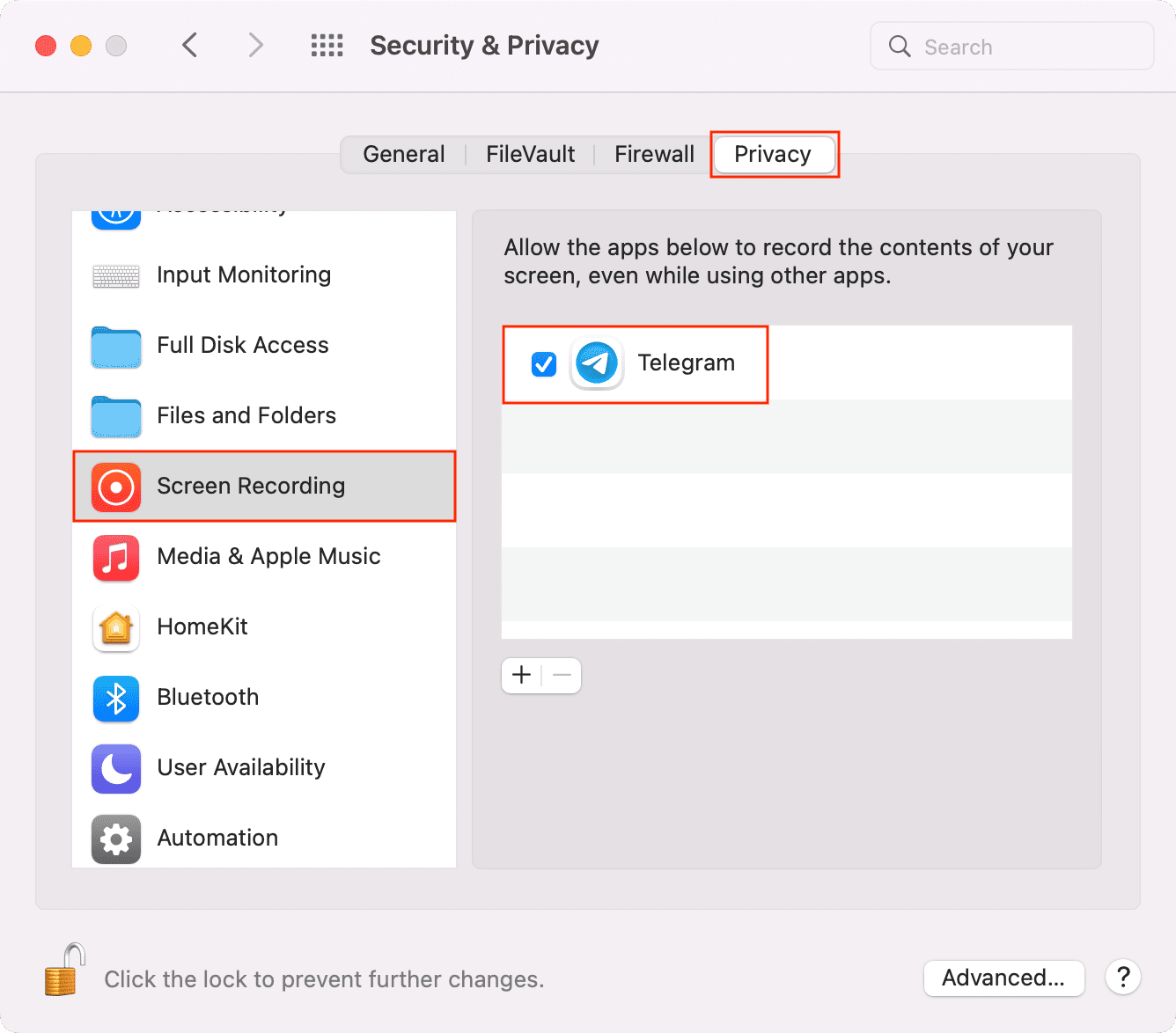 允许 Telegram 在 Mac 上录屏